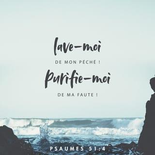 Psaumes 51:1-5 NFC Nouvelle Français courant