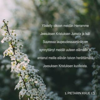 1. Pietarin kirje 1:3-4 - Ylistetty olkoon meidän Herramme Jeesuksen Kristuksen Jumala ja Isä! Suuressa laupeudessaan hän on Jeesuksen Kristuksen kuolleistanousemisen kautta uudestisynnyttänyt meidät elävään toivoon, turmeltumattomaan, tahrattomaan ja katoamattomaan perintöön. Se on talletettuna taivaissa teitä varten