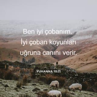 YUHANNA 10:11 - Ben iyi çobanım. İyi çoban koyunları uğruna canını verir.