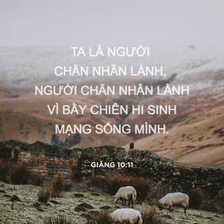 Giăng 10:11 - Ta là người chăn nhân lành, người chăn nhân lành vì bầy chiên hi sinh mạng sống mình.