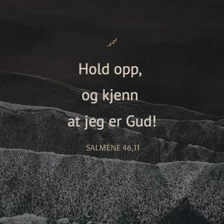 Salmene 46:10 NB