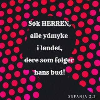 Sefanja 2:1-3 - Ja, dere skamløse folkeslag, samle dere, før Herren har utført det Han har bestemt. Den dagen kommer fort. Samle dere før Herrens brennende sinne kommer over dere! Søk Herren, alle dere ydmyke på jorden, dere som synes Herrens vilje er viktig. Søk rettferdighet, søk ydmykhet. Kanskje dere kan slippe unna den dagen Herren skal felle dom og straff.