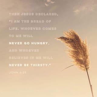 John 6:35 - And Jesus said unto them, I am the bread of life: he that cometh to me shall never hunger; and he that believeth on me shall never thirst.