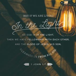 1 John 1:7 - But if we walk in the light, as he is in the light, we have fellowship with one another, and the blood of Jesus his Son cleanses us from all sin.