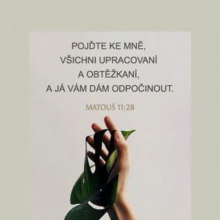 Matouš 11:27-30 - Všechno je mi dáno od mého Otce a nikdo nezná Syna, jedině Otec, a ani Otce nikdo nezná, jedině Syn a ten, komu by ho Syn chtěl zjevit.
Pojďte ke mně, všichni upracovaní a obtěžkaní, a já vám dám odpočinout. Vezměte na sebe mé jho a učte se ode mě, neboť jsem mírný a pokorný v srdci, a vaše duše najdou odpočinutí. Mé jho je totiž příjemné a mé břemeno lehké.“