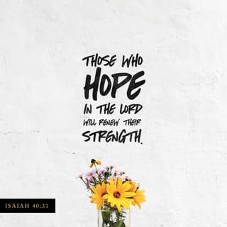 Isaiah 40:31 - But those who wait for the LORD [who expect, look for, and hope in Him]
Will gain new strength and renew their power;
They will lift up their wings [and rise up close to God] like eagles [rising toward the sun];
They will run and not become weary,
They will walk and not grow tired.