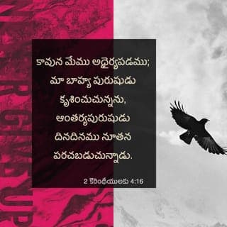 2 కొరింతీ పత్రిక 4:16-17 - అందుచేత మేము నిరుత్సాహపడడం లేదు. మా దేహాలు రోజురోజుకీ క్షీణించి పోతున్నా లోలోపల ప్రతి రోజూ దేవుడు మమ్మల్ని కొత్తవారినిగా చేస్తున్నాడు.
మేము కనిపించే వాటి కోసం కాకుండా కనిపించని వాటి కోసం ఎదురు చూస్తున్నాము. కాబట్టి క్షణమాత్రం ఉండే స్వల్ప బాధ, దానికి ఎన్నో రెట్లు అధికమైన అద్భుతమైన వైభవానికి మమ్మల్ని సిద్ధం చేస్తూ ఉంది. అది ఎప్పటికీ ఉండే వైభవం.