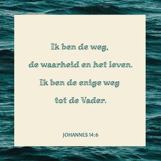 Johannes 14:2 - In het huis van Mijn Vader zijn veel woningen; als dat niet zo was, zou Ik het u gezegd hebben. Ik ga heen om een plaats voor u gereed te maken.