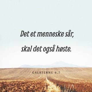 Galaterbrevet 6:6-10 - Den som får undervisning om Guds budskap, skal dele med den som underviser. Del godene med hverandre.
Pass på at dere ikke blir lurt og ført på avveie! Gud vil ikke at Hans Navn skal bli skitnet til. Det et menneske sår, det får han også høste. Dersom mennesker fokuserer på negative ting, vil de høste det som er negativt i livet. Men den som fokuserer på Guds plan og vilje og vil leve med Ånden som hjelp, skal høste det gode og få evig liv.
La oss derfor ikke bli trette av å gjøre det som er godt. For når tiden er inne, vil vi se resultatene av våre positive valg, hvis vi bare ikke mister motet. Derfor må vi benytte de anledningene vi får, til å gjøre godt mot alle, særlig mot våre kristne søsken.