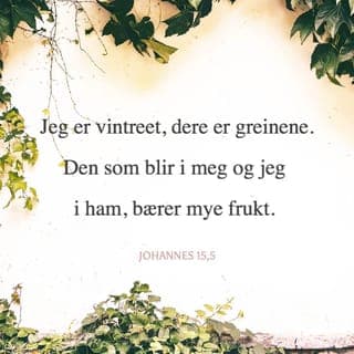 Johannes’ evangelium 15:3-5 - Dere er allerede rene, siden dere har tatt til dere de ordene Jeg har talt til dere. Bli i Meg, så skal Jeg bli i dere. Jeg er treet, og dere er grenene. Slik som en gren ikke kan bære frukt av seg selv, uten at den blir i vintreet, slik kan heller ikke dere bære frukt, uten at dere blir i Meg. Den som blir i Meg og Jeg i ham, bærer mye frukt. For uten Meg kan dere ikke gjøre noe som helst.