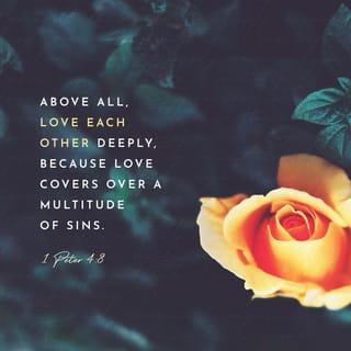 1 Peter 4:7-8 - The end of all things is near; therefore, be of sound judgment and sober spirit for the purpose of prayer. Above all, keep fervent in your love for one another, because love covers a multitude of sins.