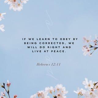 Hebrews 12:11 - We don’t enjoy discipline when we get it. It is painful. But later, after we have learned our lesson from it, we will enjoy the peace that comes from doing what is right.