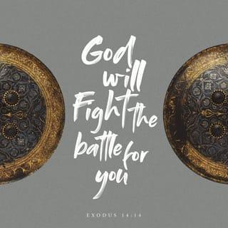 Sh'mot (Exo) 14:14 - ADONAI will do battle for you. Just calm yourselves down!”
(A: iii)