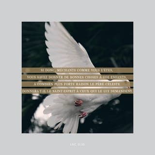 Luc 11:13 - Si donc vous qui êtes mauvais {Alors si vous qui êtes de mauvaises personnes} savez donner de bonnes choses à vos enfants, à combien plus forte raison votre Père (qui est) dans le ciel donnera-t-il l'Esprit Saint aux gens qui le lui demandent {votre Père dans le ciel donnera certainement l'Esprit Saint aux gens qui le lui demandent}!»