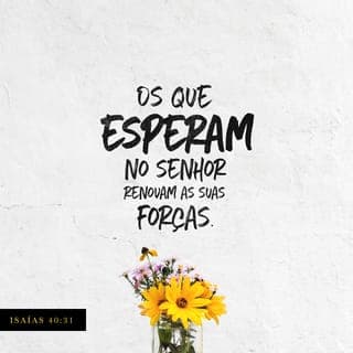 Isaías 40:30-31 - Os jovens se cansam e ficam fracos;
até os adolescentes ficam exaustos e caem.
Mas aqueles que confiam na ajuda do SENHOR
encontrarão novas forças.
Voarão como águias,
correrão sem se cansarem,
andarão sem nunca perderem as forças.