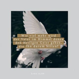 Lukas 11:11-13 - ° Ist das bei euch denkbar: Ein Junge bittet seinen Vater um einen Fisch und der gibt ihm stattdessen eine Schlange? ° Oder er bittet um ein Ei und der Vater gibt ihm einen Skorpion? ° Wenn nun selbst ihr, die ihr doch von Bosheit geprägt seid, in der Lage seid, euren Kindern wirklich gute Geschenke zu geben, um wie viel mehr wird der Vater aus seiner himmlischen Wirklichkeit denen den heiligen Gottesgeist schenken, die ihn darum bitten!«