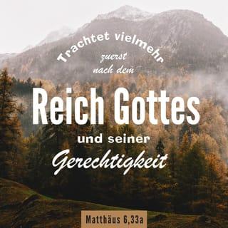 Matthäus 6:33 NGU2011 Neue Genfer Übersetzung