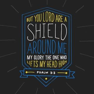 Psalm 3:3 - But thou, O LORD, art a shield for me;
My glory, and the lifter up of mine head.