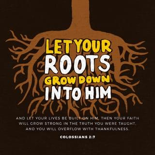 Colossians 2:6-7 NLT New Living Translation