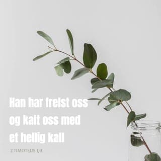 Andre Timoteusbrev 1:9-11 - Det er Gud som har frelst oss og invitert oss til å tilhøre Ham. Det skjer ikke på grunn av våre egne handlinger, men fordi Gud selv har bestemt at Han ville gi oss av sin nåde. Helt fra begynnelsen hadde Gud planlagt at menneskene skulle bli frelst gjennom Jesus, og ved Hans død og oppstandelse er Guds plan blitt gjennomført. For Jesus utslettet døden og ga menneskene evig liv gjennom troen på evangeliet. Gud har satt meg til å forkynne dette, og derfor har Han gjort meg til apostel for at jeg skal forkynne og undervise de menneskene som ikke kjenner Gud.