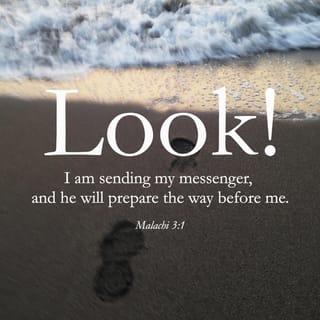 Malachi 3:1 - The Lord of heaven’s armies says, “I will send my messenger. He will prepare the way for me to come. Suddenly, the Lord you are looking for will come to his Temple. The messenger of the agreement, whom you want, will come.”