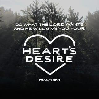 Psalms 37:4 - Take delight in the LORD,
and he will give you your heart’s desires.