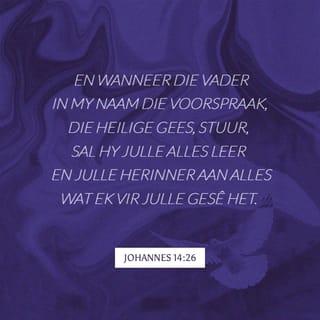 JOHANNES 14:26 AFR83