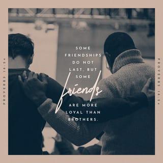 Proverbs 18:24 - A man who has friends must himself be friendly,
But there is a friend who sticks closer than a brother.