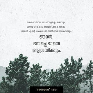 ISAIA 12:1-6 - അന്നു നീ പറയും: “സർവേശ്വരാ, ഞാൻ അങ്ങേക്കു നന്ദി പറയുന്നു; അവിടുന്ന് എന്നോടു കോപിച്ചെങ്കിലും ഇപ്പോൾ അവിടുത്തെ കോപം ശമിക്കുകയും അവിടുന്ന് എന്നെ ആശ്വസിപ്പിക്കുകയും ചെയ്തുവല്ലോ. ഇതാ, ദൈവമാണ് എന്റെ രക്ഷ! അവിടുത്തെ ഞാൻ ആശ്രയിക്കും. ഞാൻ ഭയപ്പെടുകയില്ല; കാരണം, ദൈവമായ സർവേശ്വരൻ എന്റെ ബലവും എന്റെ ഗാനവുമാണ്. അവിടുന്ന് എന്റെ രക്ഷയായിരിക്കുന്നു.
നീ ആനന്ദത്തോടെ രക്ഷയുടെ കിണറ്റിൽനിന്ന് വെള്ളം കോരി എടുക്കും.” അന്നു നീ പറയും: “സർവേശ്വരനു നന്ദി പറയുവിൻ, അവിടുത്തെ നാമം വിളിച്ചപേക്ഷിക്കുവിൻ, അവിടുത്തെ പ്രവൃത്തികൾ വിജാതീയരുടെ ഇടയിൽ ഘോഷിക്കുവിൻ. അവിടുത്തെ നാമം മഹത്ത്വമേറിയത് എന്നു പ്രഖ്യാപിക്കുവിൻ.” സർവേശ്വരനു സ്തോത്രഗാനം പാടുവിൻ, അവിടുത്തെ മഹത്ത്വമേറിയ പ്രവൃത്തികൾ ഭൂമിയിലെല്ലാടവും പ്രസിദ്ധമായിത്തീരട്ടെ. സീയോൻനിവാസികളേ, നിങ്ങൾ ഉച്ചത്തിൽ ആർത്തുഘോഷിക്കുവിൻ, ഇസ്രായേലിന്റെ പരിശുദ്ധൻ മഹത്ത്വമുള്ളവൻ, അവിടുന്നു നിങ്ങളുടെ മധ്യേ വാഴുന്നു.