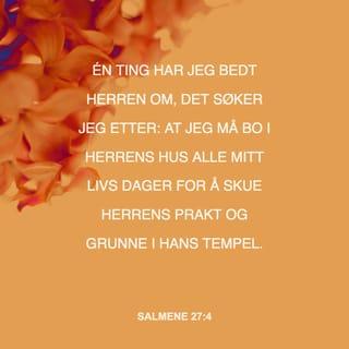 Salmene 27:4 NB