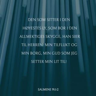 Salmenes bok 91:1 - D en som bor i Den Høyestes skjul, skal hvile under Den Allmektiges skygge.