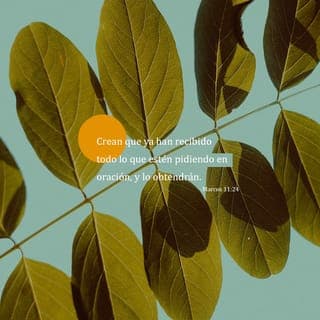 Marcos 11:23-24 - Les aseguro que, si tienen confianza y no dudan del poder de Dios, todo lo que pidan en sus oraciones sucederá. Si le dijeran a esta montaña: “Quítate de aquí y échate en el mar”, así sucedería. Solo deben creer que ya está hecho lo que han pedido.