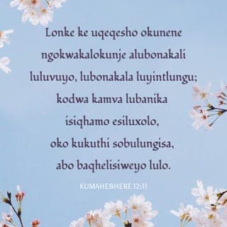 Incwadi ka‐Paulusi kuma‐Hebere 12:11 - Kekaloku akuko kwohlwaywa ixesha kukoyo ngalo okunga kuyinto yovuyo, koko kunga kuyinto yosizi: noko kamva kuyanika isiqa̔mo esiluxolo sobulungisa kwabo baqeliswayo ngako.