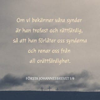 Första Johannesbrevet 1:8-9 - Om vi säger att vi inte har synd, bedrar vi oss själva och sanningen finns inte i oss. Om vi bekänner våra synder, är han trofast och rättfärdig så att han förlåter oss våra synder och renar oss från all orättfärdighet.