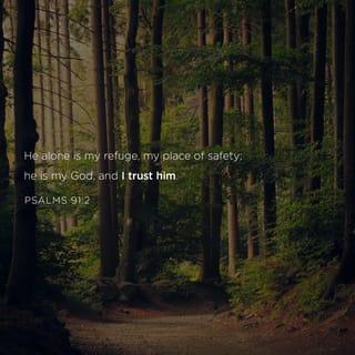 Psalms 91:2 - I will say of the LORD, “He is my refuge and my fortress;
My God, in Him I will trust.”