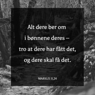 Markus 11:24 NB Norsk Bibel 88/07