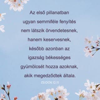 A zsidókhoz írt levél 12:11 - A fegyelmezés, meg a fenyítés egyáltalán nem kellemes, amikor el kell szenvednünk, inkább fájdalmas és szomorúságot okoz! Később mégis igazságosságot és békességet eredményez annak az életében, aki a fegyelmezés által megedződött.