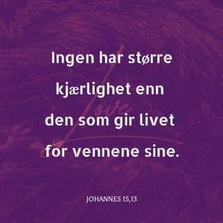 Johannes 15:13 NB