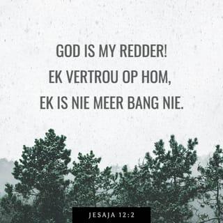 JESAJA 12:2 - God het my kom red.
Ek vertrou op Hom.
Ek is nie meer bang nie.
Die HERE, die HERE is my krag
en my lied.
Hy het my kom red.”