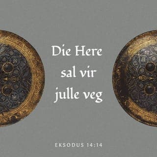 EKSODUS 14:13-18 - Maar Moses het die volk geantwoord: “Moenie bang wees nie. Staan vas, kyk hoe die Here julle vandag gaan red, want soos julle die Egiptenaars nou daar sien, sal julle hulle nooit weer sien nie. Bly julle maar kalm. Die Here sal vir julle veg.”
Toe het die Here vir Moses gesê: “Waarom roep julle so benoud na My? Sê vir die Israeliete hulle moet verder trek. En jy, lig jou kierie op en steek jou hand oor die see uit en kloof dit oop sodat die Israeliete op droë grond kan deurgaan. Ek sal die Egiptenaars so koppig maak dat hulle die Israeliete sal agtervolg. So sal Ek my mag laat geld teenoor die farao en sy hele leër: strydwaens en bemanning. Wanneer Ek my mag laat geld teenoor die farao, sy strydwaens en hulle bemanning, sal Egipte besef dat Ek die Here is.”