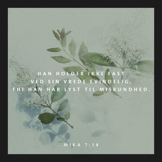 Mikas Bog 7:18-19 - Der findes ingen Gud som dig,
du tilgiver den rest, der er tilbage af dit ejendomsfolk.
Du kan ikke være vred for evigt,
men elsker at vise din trofaste kærlighed.
Du vil igen se i nåde til os
og tilgive os alle vores synder,
ja, kaste dem i havets dyb.