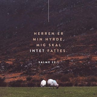 Salmernes Bog 23:1-6 - Herren er min hyrde,
han sørger altid for mig.
Han leder mig til grønne enge
og fører mig til stille vandløb.
Han giver mig ny styrke,
og leder mig på den rette vej,
for han er en god og trofast Gud.
Skal jeg end vandre gennem dødsskyggens dal,
har jeg dog intet at frygte,
for du går ved min side,
din hyrdestav beskytter mig.
Du dækker bord for mig
for øjnene af mine fjender.
Du gør mig til æresgæst
og fylder mit bæger til randen.
Din godhed og trofaste nåde
følger mig livet igennem.
Og jeg får lov at bo i dit hus,
så længe jeg lever.