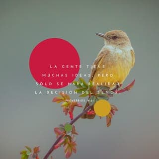 Proverbios 19:21-23 - La gente tiene muchas ideas,
pero solo se hará realidad la decisión del SEÑOR.
Lo que más agrada de alguien es que sea leal y sincero,
es mejor ser pobre que mentiroso.
Respetar al SEÑOR conduce a la vida,
uno se siente contento y no se preocupa por nada.