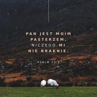 Księga Psalmów 23:1 - Psalm Dawida. Mym pasterzem jest WIEKUISTY, niczego mi nie brakuje.