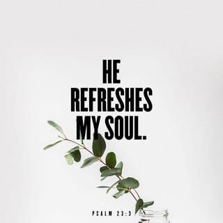 Psalms 23:2-3 - He makes me lie down in green pastures;
he leads me beside still waters;
he restores my soul.
He leads me in right paths
for his name's sake.