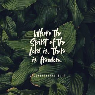 2 Corinthians 3:17 - For the Lord is the Spirit, and wherever the Spirit of the Lord is, there is freedom.