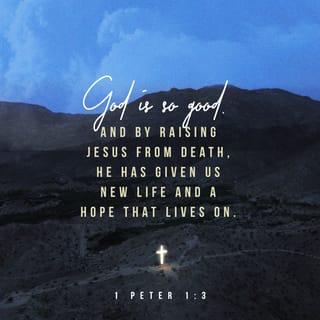 1 Peter 1:3-25 - Blessed be the God and Father of our Lord Jesus Christ! According to his great mercy, he has caused us to be born again to a living hope through the resurrection of Jesus Christ from the dead, to an inheritance that is imperishable, undefiled, and unfading, kept in heaven for you, who by God’s power are being guarded through faith for a salvation ready to be revealed in the last time. In this you rejoice, though now for a little while, if necessary, you have been grieved by various trials, so that the tested genuineness of your faith—more precious than gold that perishes though it is tested by fire—may be found to result in praise and glory and honor at the revelation of Jesus Christ. Though you have not seen him, you love him. Though you do not now see him, you believe in him and rejoice with joy that is inexpressible and filled with glory, obtaining the outcome of your faith, the salvation of your souls.
Concerning this salvation, the prophets who prophesied about the grace that was to be yours searched and inquired carefully, inquiring what person or time the Spirit of Christ in them was indicating when he predicted the sufferings of Christ and the subsequent glories. It was revealed to them that they were serving not themselves but you, in the things that have now been announced to you through those who preached the good news to you by the Holy Spirit sent from heaven, things into which angels long to look.

Therefore, preparing your minds for action, and being sober-minded, set your hope fully on the grace that will be brought to you at the revelation of Jesus Christ. As obedient children, do not be conformed to the passions of your former ignorance, but as he who called you is holy, you also be holy in all your conduct, since it is written, “You shall be holy, for I am holy.” And if you call on him as Father who judges impartially according to each one’s deeds, conduct yourselves with fear throughout the time of your exile, knowing that you were ransomed from the futile ways inherited from your forefathers, not with perishable things such as silver or gold, but with the precious blood of Christ, like that of a lamb without blemish or spot. He was foreknown before the foundation of the world but was made manifest in the last times for the sake of you who through him are believers in God, who raised him from the dead and gave him glory, so that your faith and hope are in God.
Having purified your souls by your obedience to the truth for a sincere brotherly love, love one another earnestly from a pure heart, since you have been born again, not of perishable seed but of imperishable, through the living and abiding word of God; for

“All flesh is like grass
and all its glory like the flower of grass.
The grass withers,
and the flower falls,
but the word of the Lord remains forever.”