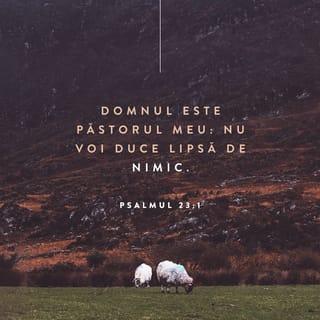 Psalmul 23:1-6 - Domnul este Păstorul meu: nu voi duce lipsă de nimic.
El mă paște în pășuni verzi
și mă duce la ape de odihnă;
îmi înviorează sufletul
și mă povățuiește pe cărări drepte
din pricina Numelui Său.
Chiar dacă ar fi să umblu prin valea umbrei morții,
nu mă tem de niciun rău, căci Tu ești cu mine.
Toiagul și nuiaua Ta mă mângâie.
Tu îmi întinzi masa în fața potrivnicilor mei,
îmi ungi capul cu untdelemn
și paharul meu este plin de dă peste el.
Da, fericirea și îndurarea mă vor însoți
în toate zilele vieții mele
și voi locui în Casa Domnului până la sfârșitul zilelor mele.