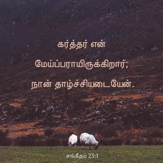 சங்கீதம் 23:1-3 - கர்த்தர் என் மேய்ப்பராயிருக்கிறார்; நான் தாழ்ச்சியடையேன்.
அவர் என்னைப் புல்லுள்ள இடங்களில் மேய்த்து, அமர்ந்த தண்ணீர்கள் அண்டையில் என்னைக் கொண்டுபோய் விடுகிறார்.
அவர் என் ஆத்துமாவைத் தேற்றி, தம்முடைய நாமத்தினிமித்தம் என்னை நீதியின் பாதைகளில் நடத்துகிறார்.