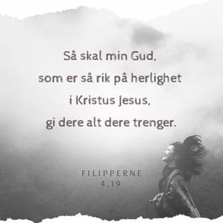Filipperbrevet 4:18-19 - Akkurat nå har jeg alt. Jeg har overflod etter å ha mottatt alt det dere sendte med Epafroditus. Jeg er sikker på at Gud setter pris på deres godhet mot meg. Min Gud, som er full av rikdom, vil velsigne dere tilbake og dekke deres behov. Han gir av sin rikdom ettersom dere lever i fellesskap med Jesus.